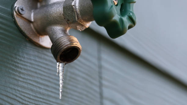 Best Shower Repair Services  in Surrey, ND